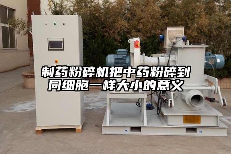 製藥国产精品无码麻豆把中藥粉碎到同細胞一樣大小的意義