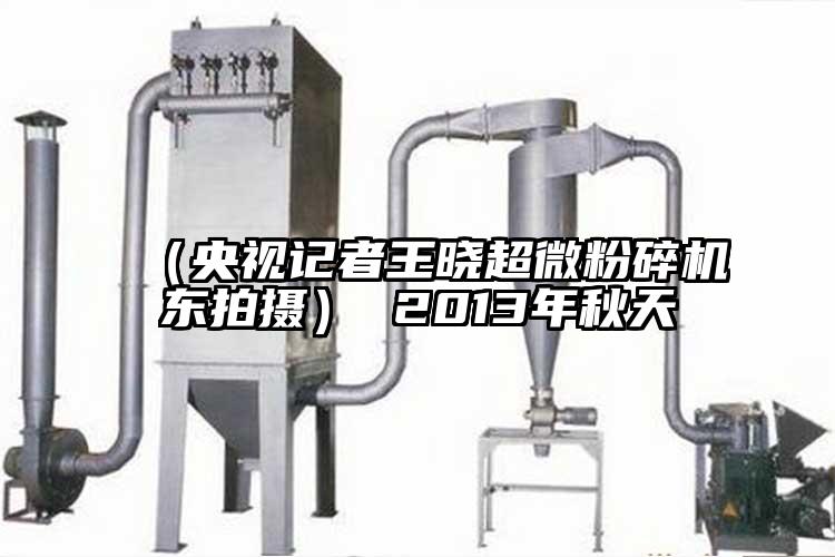 （央視記者王曉超微国产精品无码麻豆東拍攝） 2013年秋天