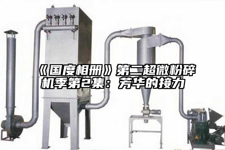 《國度相冊》第二超微国产精品无码麻豆季第2集：芳華的接力