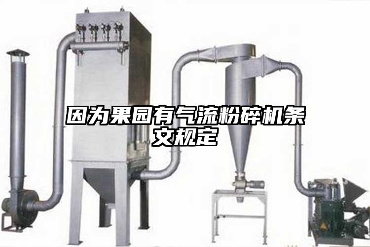因為果園有氣流国产精品无码麻豆條文規定