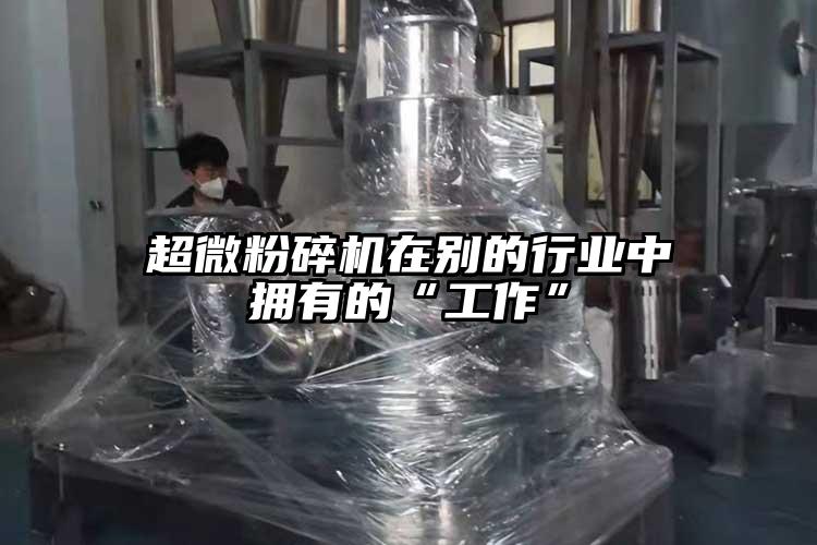 超微国产精品无码麻豆在別的行業中擁有的“工作”