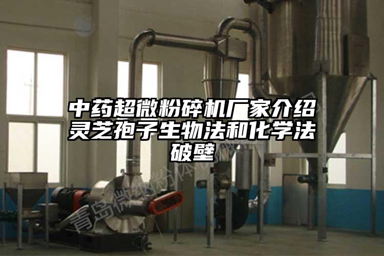 中藥超微国产精品无码麻豆廠家介紹靈芝孢子生物法和化學法破壁